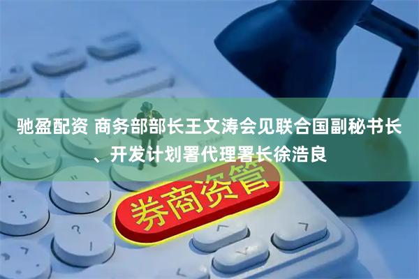 驰盈配资 商务部部长王文涛会见联合国副秘书长、开发计划署代理署长徐浩良