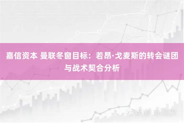 嘉信资本 曼联冬窗目标：若昂·戈麦斯的转会谜团与战术契合分析