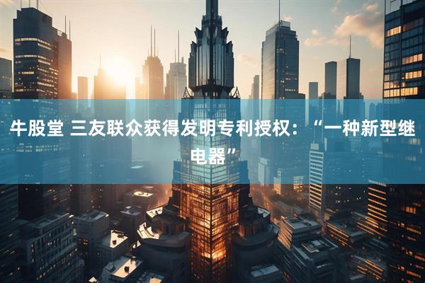 牛股堂 三友联众获得发明专利授权:“一种新型继电器”