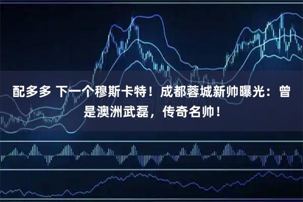 配多多 下一个穆斯卡特！成都蓉城新帅曝光：曾是澳洲武磊，传奇名帅！