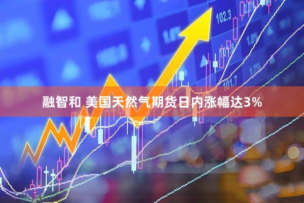 融智和 美国天然气期货日内涨幅达3%